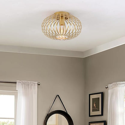 Fivess Lighting Modern Gold Flush Mount Light Fixture Metal Cage Single Semi Flush Mount Ceiling Light for Hallway Bedroom Kitchen Entryway Farmhouse