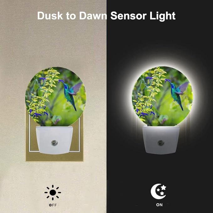 EKOBLA Hummingbird Plug-in Night Light, Spring Garden Bird & Flower LED Nightlight with Auto Sensor for Home Indoor Decor