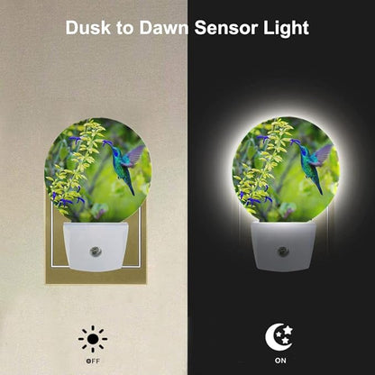 EKOBLA Hummingbird Plug-in Night Light, Spring Garden Bird & Flower LED Nightlight with Auto Sensor for Home Indoor Decor