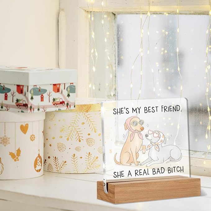 Funny Friendship Gifts for Women, Humor Christmas Birthday Gifts for Best Friend Sisters BFF, Funny Dog Acrylic Plaque Home Office Desk Decor