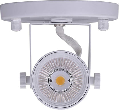 CLOUDY BAY LED Flush Mount Ceiling Spot Light,CRI90+ 8W 600lm 3000K Warm White Dimmable,Adjustable Tilt Angle Ceiling Light Fixture,White Finish