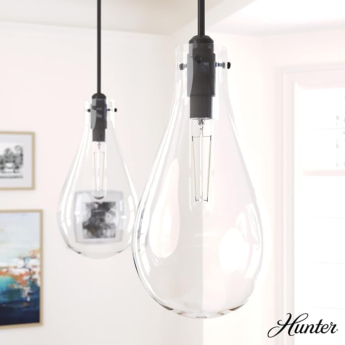 Hunter Fan Company 19563 Lundin Pendant Light, Noble Bronze