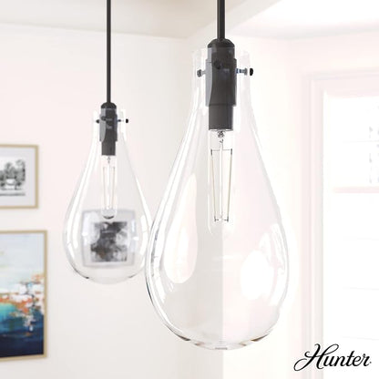Hunter Fan Company 19563 Lundin Pendant Light, Noble Bronze