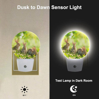 Easter Bunny Nightlight Cute Rabbits in Meadow Plug-in Nightlight Energy Saving 0.5W LED Lighting for Boys Girls Men Women Gift