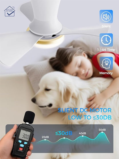 LANMEL 22 Inch Flush Mount Ceiling Fan with Light and Remote, Low Profile Modern Ceiling Fan, 6 Speed, Reversible, 3000k-6500k Dimmable LED, Quiet DC Motor for Indoor Outdoor, White Gold