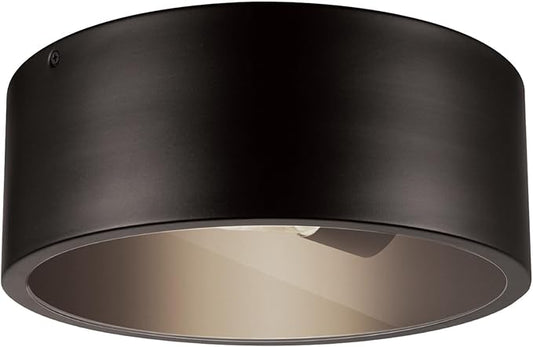 GLOBE Electric 44479 Teagan 1-Light Outdoor Indoor Flush Mount Ceiling Light, Dark Bronze, Clear Glass Shade, Bulb Not Included