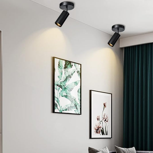 Black Ceiling Light, Gu10 Modern Ceiling Spotlight Angle Adjustment Downlight 2 Lights Wall Mount Lights for Living Room, Gallery, Cabinet, Hallway, Bedroom, Showrooms, Kitchen