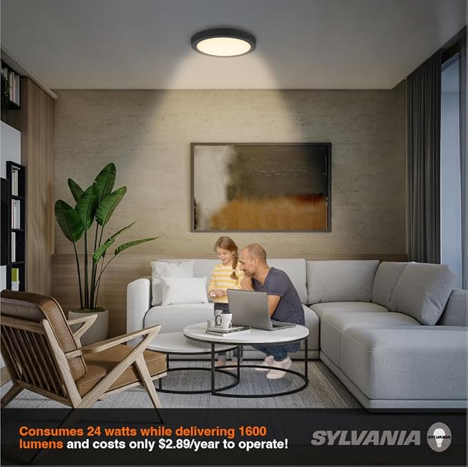 Sylvania 12" LED Flush Mount Ceiling Light Fixture, 24W, 1600 LMS, Hardwired, 3000K, Warm White, Black, LED Lights for Bedroom Kitchen Hallway Porch - 1 Pack (66459)