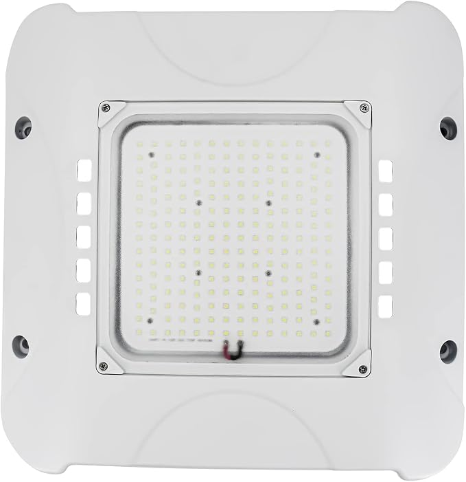 100W LED Canopy Light Fixture,HID/HPS Replacement, LED Shop Light, 5700K, AC100-277V, IP65 Waterproof,Canopy Light Outdoor for Gas Station,Warehouse (100W)