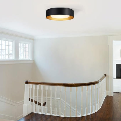 Yiisem Modern Black and Gold Flush Mount Ceiling Lights, 16.5" Minimalist Glass Round Ceiling Lighting, Drum Close to Ceiling Light Fixtures for Living Room, Bedroom, Dining Room, Kitchen, Hallways