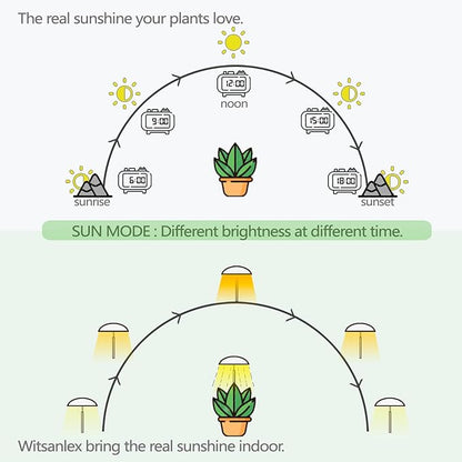 LED Grow Lights for Indoor Plants 2 Pack, Smart USB Small Full Spectrum Plant Lights with Remote, Height Adjustable, Auto On/Off Timer, Ideal for Home Decoration, Black
