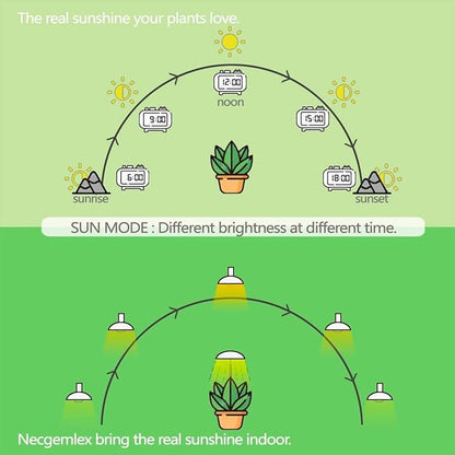 Smart LED PAR38 Grow Light, Dimmable, Sun Mode Dimming - Mimics Real Sunshine, Daily Run Auto Timer, Remote Control - Full Spectrum for Indoor Plant Growth