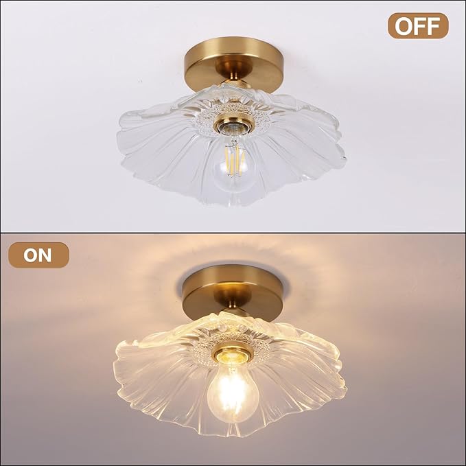 Chandelier, Flush Mount Ceiling Light, Clear Glass Shade Light Fixture, 1 Light Lighting Fixture for Bedroom,Dining Room,Kitchen, Hallway (Clear 4111CL)