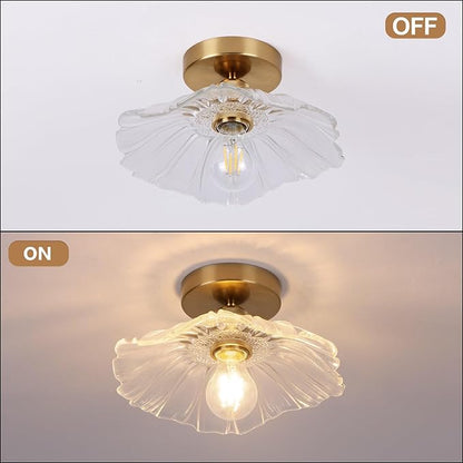 Chandelier, Flush Mount Ceiling Light, Clear Glass Shade Light Fixture, 1 Light Lighting Fixture for Bedroom,Dining Room,Kitchen, Hallway (Clear 4111CL)