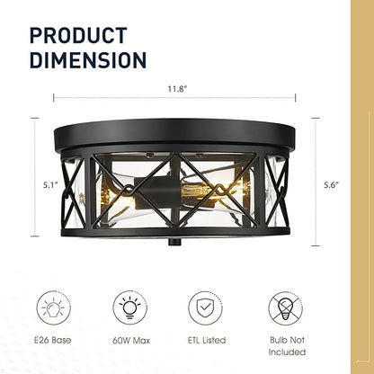 zeyu 2-Light Flush Mount Ceiling Light Fixtures, 12 Inch Lighting Fixture for Kitchen with Clear Glass, Black Ceiling Light, ZY25-F BK