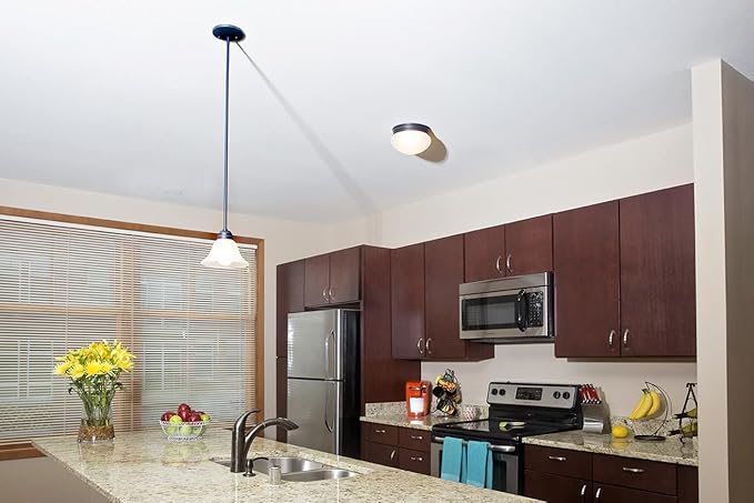 Design House Millbridge Dome 7-5/8 Inch Diameter Indoor Ceiling Light Fixture, for Bedroom, Hallway, Closet & Dining Room, Alabaster Glass, Oil Rubbed Bronze 514547