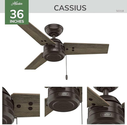 Hunter Cassius - Outdoor or Indoor Ceiling Fan No Light (Matte Black, 36 inch)
