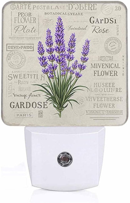 Lavender LED Night Lights Plug into Wall Vintage Postcard Background 0.5W Plug in Night Light, Dusk to Dawn, Bright Nightlight Auto On/Off, for Room Bedroom Bathroom