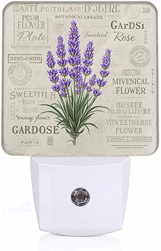 Lavender LED Night Lights Plug into Wall Vintage Postcard Background 0.5W Plug in Night Light, Dusk to Dawn, Bright Nightlight Auto On/Off, for Room Bedroom Bathroom