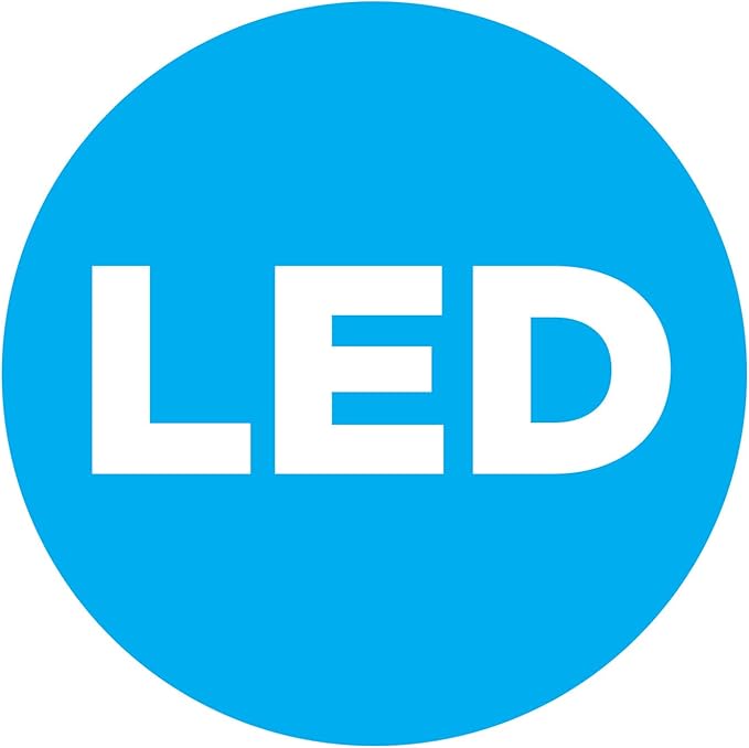 Design House Washburn LED Outdoor/Indoor Ceiling Light with Clear Seedy Glass, 20W Integrated LED, 3000K Warm Light – Design House, 587212