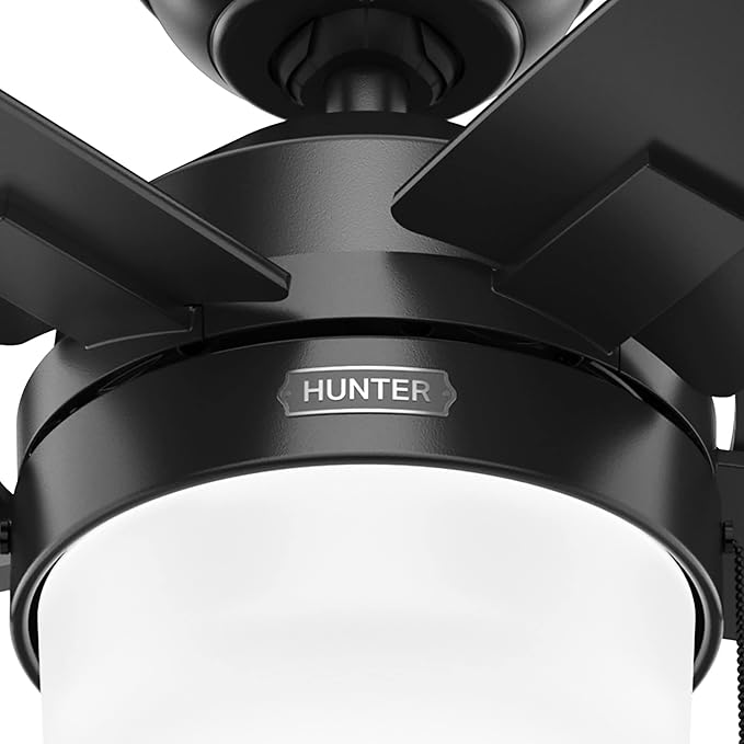 Hunter 44 inch Indoor Ceiling Fan with LED Light - Black Ceiling Fan with Pull Chain, For Bedroom or Living Room, Standard Mount, No Remote, 5 Blades, Includes Bulbs - Anisten 52486, Matte Black