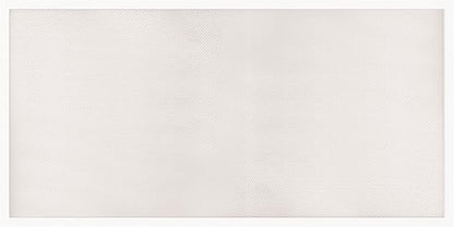 Lithonia Lighting CPX 2x4 LED Flat Panel Light, 2 ft. x 4 ft. LED Light Panel, Ceiling Lighting Fixture for Shop Lighting, 4000 Lumens, 4000K Cool White, A12 Prismatic Lens, White