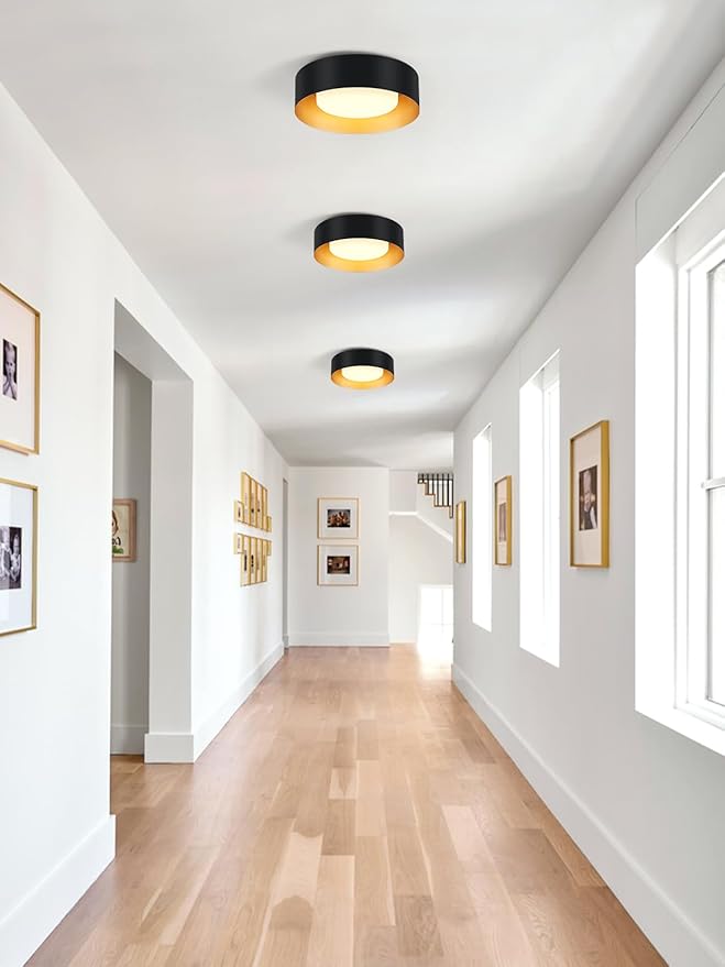 Yiisem Modern Black and Gold Flush Mount Ceiling Lights, Glass Round Ceiling Lighting, Minimalist Drum Close to Ceiling Light Fixtures for Bedroom, Dining Room, Bathroom, Hallways, Living Room