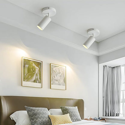 Track Lighting Ceiling Spotlight, White Ceiling Light Fixture, Gu10 Ceiling Spotlights Indoor Angle Adjustment Modern Wall Lamp for Living Room, Gallery, Cabinet, Hallway, Bedroom 2 Packs