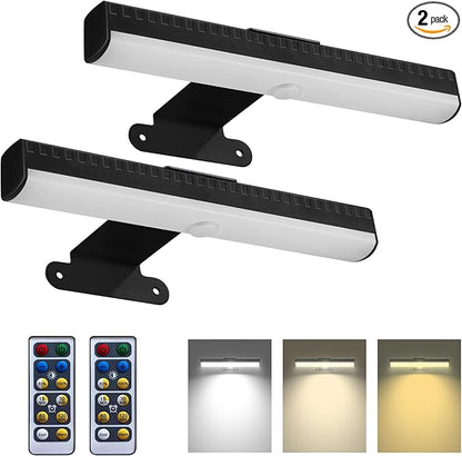 2 PACK Picture Light for Painting Battery with Remote on Wall in Bedroom Living Room, 3Lighting for Wall Art Pictures Posters,Dimmable Timer Set Display Accent Light for Frame Dart Gallery Portrait