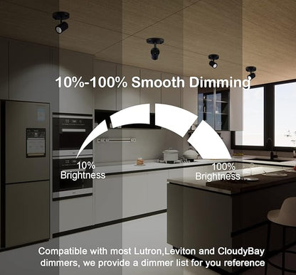 CLOUDY BAY LED Flush Mount Ceiling Spot Light,CRI90+ 9W 3000K 4000K 5000K Selectable Dimmable,Adjustable Tilt Angle Ceiling Track Light Head,Black