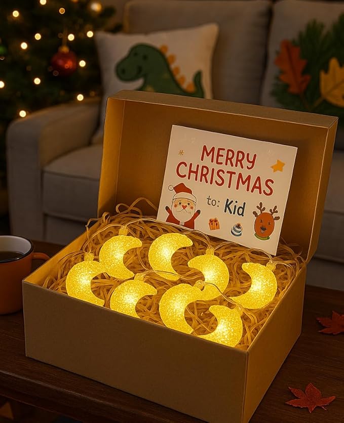 AceList Moon String Lights, 9.8FT 20 LED Decorative Fairy Lights, USB & Battery Powered for Bedroom, Party, Dorm, Camping, Mother’s Day, Holiday and Everyday Home Decor