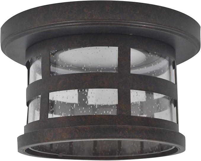 Design House Washburn LED Outdoor/Indoor Ceiling Light with Clear Seedy Glass, 20W Integrated LED, 3000K Warm Light – Design House, 587212