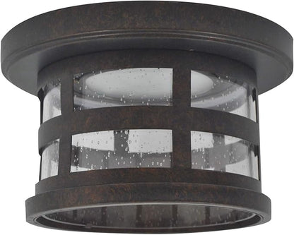 Design House Washburn LED Outdoor/Indoor Ceiling Light with Clear Seedy Glass, 20W Integrated LED, 3000K Warm Light – Design House, 587212
