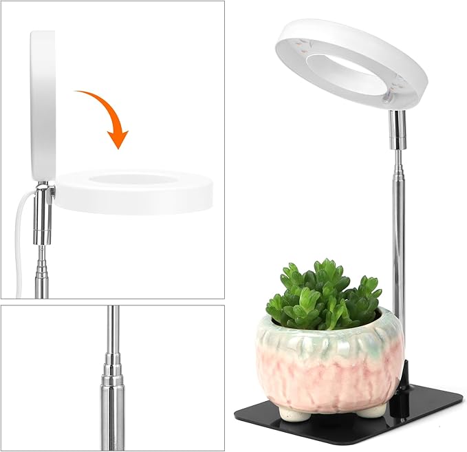 QWORK Grow Lights for Indoor Plants, 3 Pack Full Spectrum LED Desk Grow Lamp, 7-25 in Adjustable Height, Auto Timer 2/4/8H, 4 Dimmable Levels, USB Powered