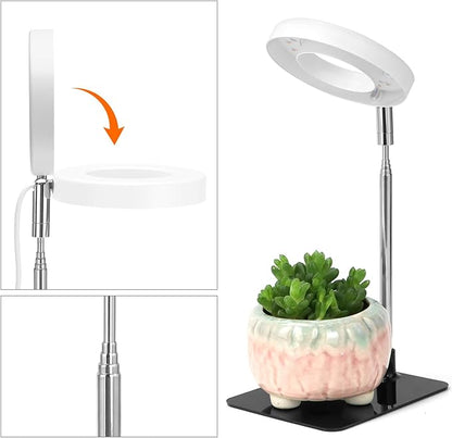 QWORK Grow Lights for Indoor Plants, 3 Pack Full Spectrum LED Desk Grow Lamp, 7-25 in Adjustable Height, Auto Timer 2/4/8H, 4 Dimmable Levels, USB Powered