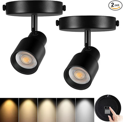 2-Pack Flush Mount LED Ceiling Spotlight Indoor, 10W Dimmable Adjustable Directional Spot Lights, 5-Color 2700K-6000K, CRI90 Flicker-Free Indoor Bright Accent Fixture for Kitchen Bedroom Black