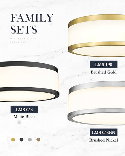 LMS 15 Inch LED Flush Mount Ceiling Light, 24W Modern Brushed Nickel Ceiling Lamp, 3CCT 3000K/4000K/5000K, Dimmable, Bathroom, Bedroom, LMS-054BN
