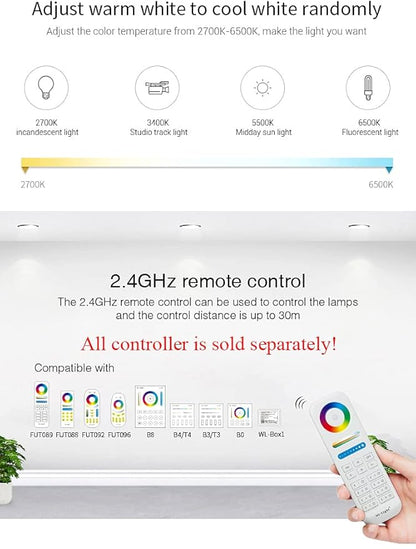 LGIDTECH WL5-WP Miboxer LED Strip Light 5 in 1 Controller for 5050 3528,IP67 Waterproof,Smartphone APP Control Without Extra Hub.Amazon Alexa Google Home Assistant Voice Control,DC12-36V,240W-720W