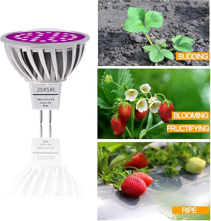 Plant Grow Light Bulb,6W Full Spectrum Grow Lamp,Purple Light,MR16 GU5.3 AC/DC12V 60W Equivalent LED Grow Light Bulb for Idoor Outdoor Plant Growing, DIY Horticulture, Greenhouse,2-Pack