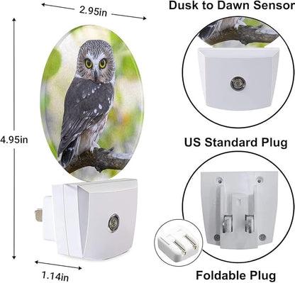 Bird Night Lights Plug into Wall Watercolor Owl Portrait Brown Feather LED Dusk to Dawn Plug-in Nightlight Auto Sensor for Bedroom Bathroom Hallway Living Room