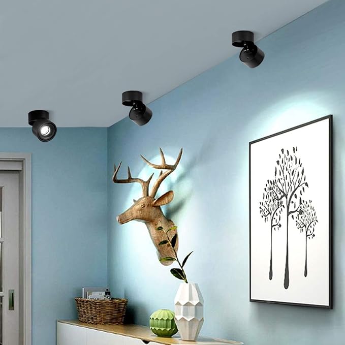 Dimmable Ceiling Spotlight,Indoor 360°Adjustable Surface Mounted LED 10W COB Ceiling Downlight-Wall Lamp for Picture Background Wall Display Lighting(Black,6000K Cold Light)