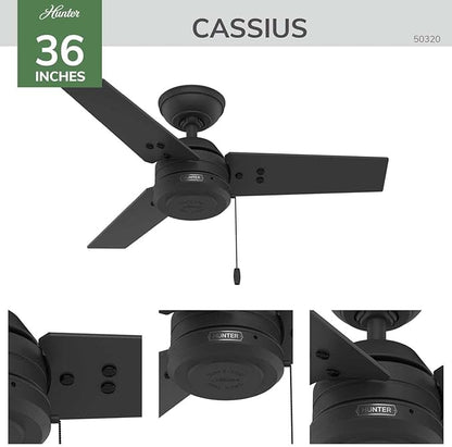 Hunter 36 inch Outdoor or Indoor Ceiling Fan No Light - White Ceiling Fan without Light, For Patio, Porch, Garage, or Living Room, Standard Mount, 3 Blades, Pull Chain - Cassius 50321, Fresh White