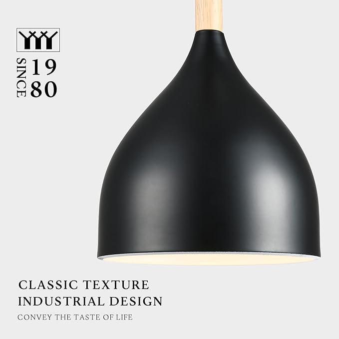 Modern Pendant Light, 6.6"x6.6"x7" Iron Hanging Fixture with Warm Oak Woodgrain, 15"-72" Adjustable Cord, E26 Socket, 4.7" Ceiling Canopy for Kitchen, Entryway – Carbon Black
