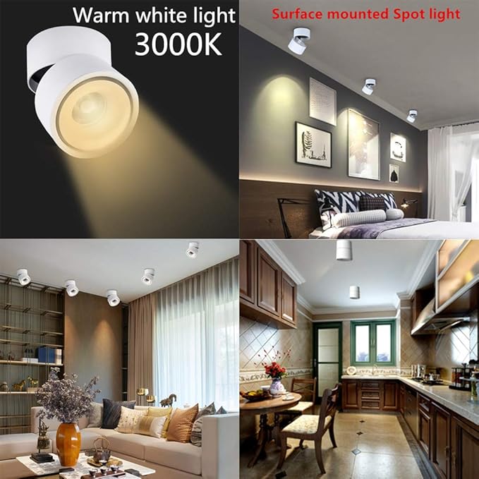 LED Ceiling Spotlight-Indoor 360°Adjustable Surface Mounted 10W COB Ceiling Downlight-Wall Lamp for Picture Background Wall Display Lighting(White,3000K Warm Light)