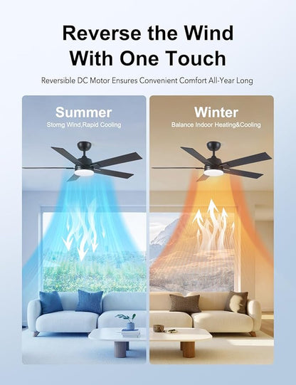 Rayqueen 52 Inch Ceiling Fans with Lights and Remote, 6 Speed Reversible DC Motor, 3CCT Dimmable LED, Black Modern Ceiling Fan for Bedroom, Living room & Covered Outdoor,Includes Downrod