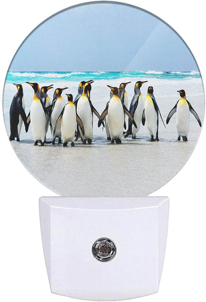 King Penguins Nightlight Antarctic Penguin Cute Animal LED Dusk to Dawn Plug-in Nightlight Auto Sensor for Bedroom Bathroom Hallway Living Room