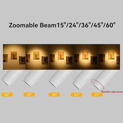 5Color LED Track Lighting Kit 4 Lights Dimmable 48W Track Light,Zoomable15°/24°/36°/45°/60°-2700K/3000K/3500K4000K/5000K,Track Lighting for Accent Task Kitchen,Lumen 4800 (White)