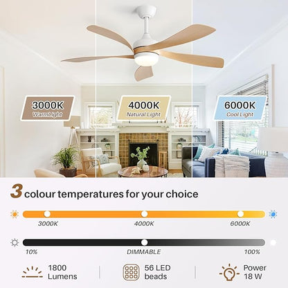 CACI Mall 52 Inch Ceiling Fans with Lights and Remote, modern, Outdoor ceiling fan with 6-Speed, 5 Blades, 2 Downrods, 3 CCT, Timer, Quiet Reversible DC Motor for Living Room, Bedroom, Patios