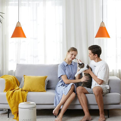 Orange Plug in Pendant Light, 2 Pack 9.4inch Hanging Lights with Plug in Cord 14.7 ft, Hanging Pendant Light, Hanging Lamp Plug in for Bedroom Living Room Kitchen Island