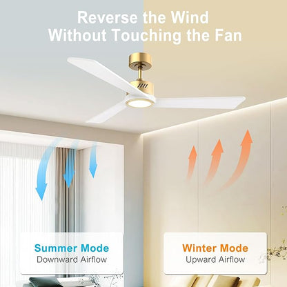 DAMINY Natural Solid Wood White and Gold 52 inch Ceiling Fan with Light,3 Blades,6CCT,Low Profile Ceiling Fan with Light and Remote Control